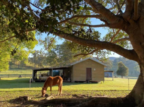 Stay at the Barn... Immerse yourself in nature.